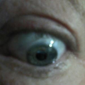 Meet your Posher, Terry